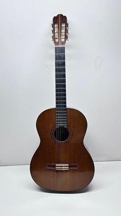 Aria - A557 - - Akoestische gitaar - Japan - 1970 (Zonder, Muziek en Instrumenten, Snaarinstrumenten | Gitaren | Akoestisch