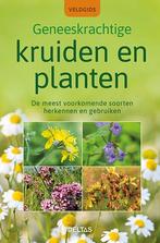 Veldgids - Geneeskrachtige kruiden en planten 9789044757026, Livres, Nature, Elfrune Wendelberger, Verzenden