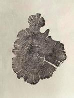 Natali Wood - Almendro Formas