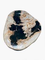 Schaal uit oerhout – donkere kern en warme golven | 225 ×, Verzamelen