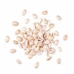 100 Kauri Schelpen, Verzamelen, Verzenden, Nieuw