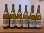 2022 Weingut Schloss Gobelsburg, Grüner Veltliner Kammern, Verzamelen, Wijnen, Nieuw