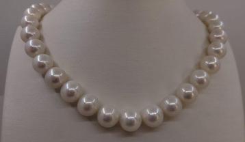 Collier - 14 carats Or blanc - Perles Edison 11x13mm