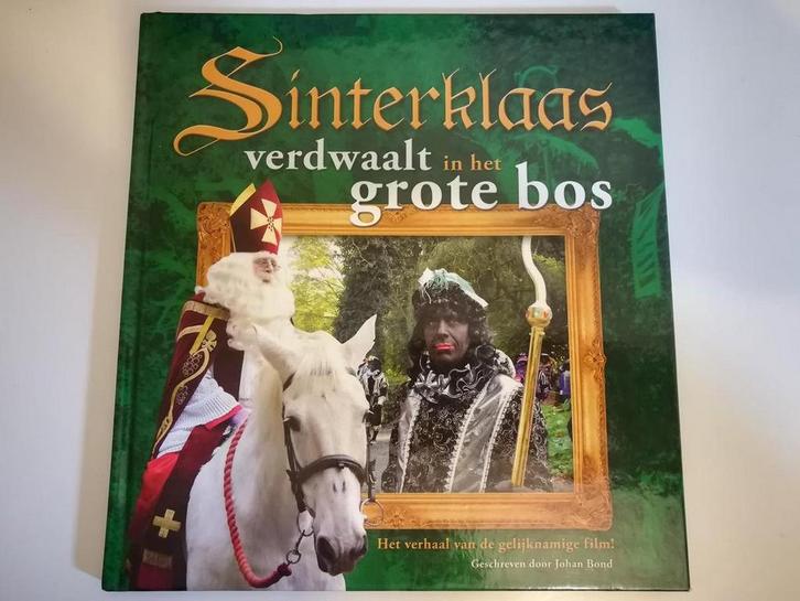 Sinterklaas - Verdwaalt in het grote bos 9789085196822, Boeken, Overige Boeken, Gelezen, Verzenden