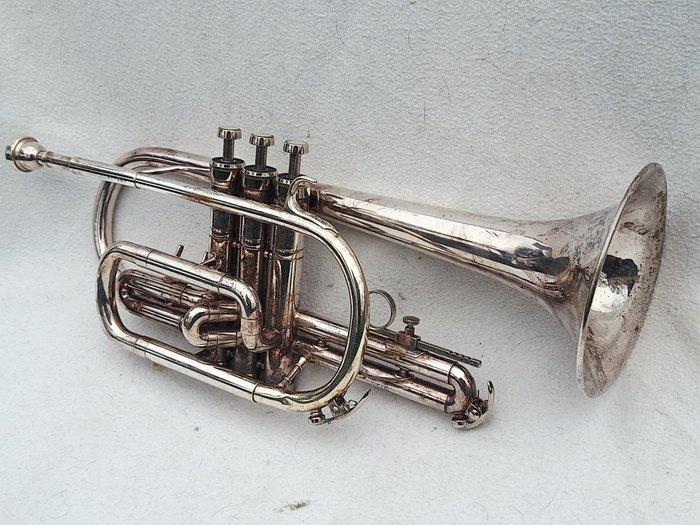 Schenkelaars - Sapphire - - Cornet - Pays-Bas (Sans prix de, Muziek en Instrumenten, Blaasinstrumenten | Blokfluiten