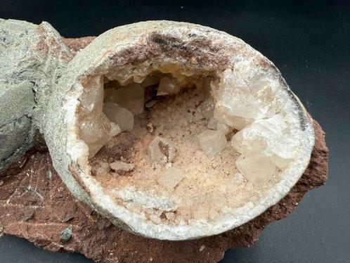 Dinosaurus - Fossiele matrix - crystallized dinosaur egg, Verzamelen, Mineralen en Fossielen