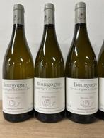 2023 Guffens-Heynen, Bourgogne Blanc Jeunes Vignes et, Nieuw