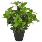 vidaXL Plante artificielle avec pot Laurier Vert 40 cm, Neuf, Verzenden