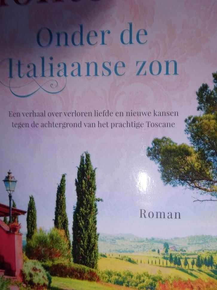 Onder de Italiaanse zon Santa Montefiore 9789049201562, Boeken, Romans, Zo goed als nieuw, Verzenden