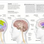 Science Of Yoga 9780241341230 Ann Swanson, Verzenden, Zo goed als nieuw, Ann Swanson