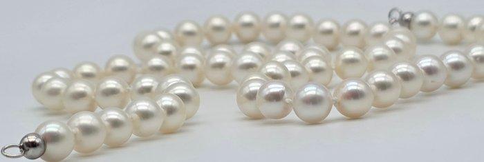 Zonder minimumprijs - Halsketting - 18 karaat Witgoud Parel, Bijoux, Sacs & Beauté, Colliers