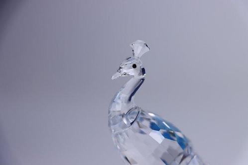 Figure - Swarovski - Witte Pauw (Boxed) - Cristal, Antiek en Kunst, Curiosa en Brocante