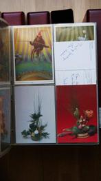 Pays-Bas - Pour lenfant - Très beau - Collection presque, Collections