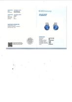 Zonder minimumprijs - Oorbellen - 14 karaat Witgoud -