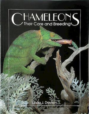 Chameleons, Boeken, Taal | Overige Talen, Verzenden