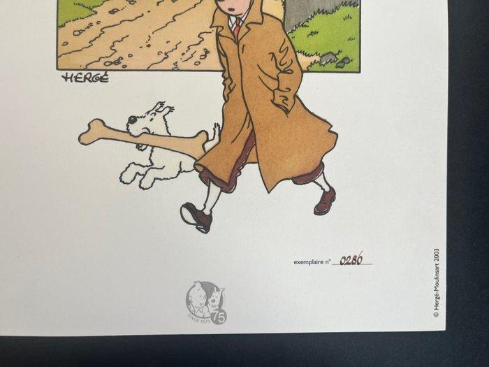 Tintin - Tintin et Milou voyageurs - 1 Lithografie - 2003, Livres, BD