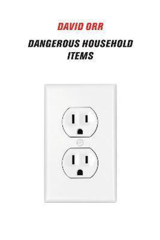 Dangerous Household Items 9781556595479 David Orr, Livres, Langue | Anglais, Envoi