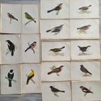 Francis Orpen Morris / Benjamin Fawcett - Lot of 32 plates