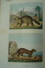 Georges-Louis Leclerc de Buffon / Georges Cuvier - Œuvres de