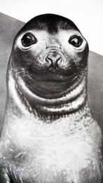 Studio Peso - En train au ZOO dAnvers à côté de la Gare