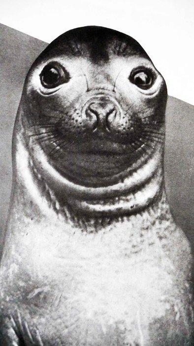 Studio Peso - En train au ZOO dAnvers à côté de la Gare, Antiek en Kunst, Kunst | Tekeningen en Fotografie