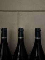 2019 Patrice Rion Vieilles Vignes - Nuits St. Georges - 3, Verzamelen, Nieuw