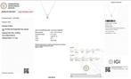 Zonder Minimumprijs - Ketting met hanger - 14 karaat Witgoud