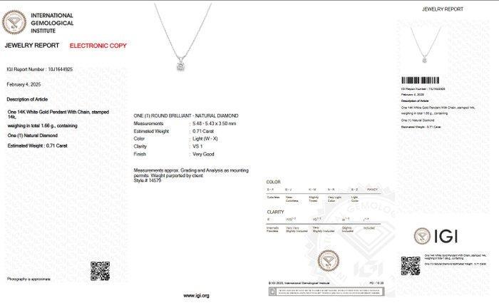 Zonder Minimumprijs - Ketting met hanger - 14 karaat Witgoud, Handtassen en Accessoires, Antieke sieraden