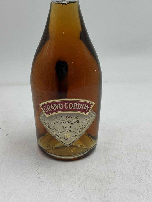 1985 G. H. Mumm, Grand Cordon - Champagne Rosé - 1 Flessen, Verzamelen, Wijnen