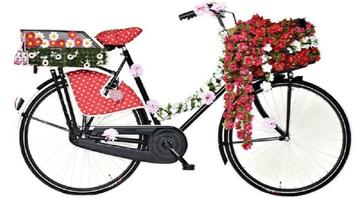 Fietsaccessoires: bloemenslingers, fietsbel, fietsmand etc