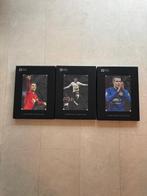 Manchester United - Engelse voetbalcompetitie - Robin van, Nieuw