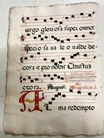 . - Antifonario in pergamena miniata, due fogli - 1650