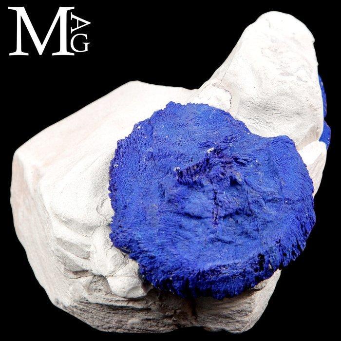 Absoluut onhaalbaar mineraal - Azzurrite Sun - perfecte, Verzamelen, Mineralen en Fossielen