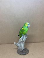 Amazon à front bleu Support de corps entier pour taxidermie