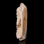Oud-Romeins Muurfresco fragment met een afbeelding van een, Antiek en Kunst