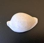 fossiles et coquillages Coquillage marin - vari generi, Collections