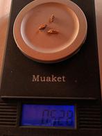 Goud Goud nugget- 0.53 g - (1)