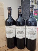 2021 Château Margaux - Bordeaux, Margaux 1er Grand Cru, Verzamelen, Wijnen, Nieuw