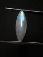 Natural Moonstone - rainbow adularescence - 7.535 ct - marqu, Verzenden