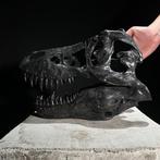 GEEN RESERVEPRIJS - Een replica van een dinosaurusschedel -, Verzamelen