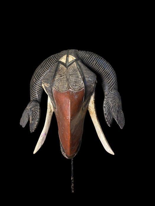 Masker-40cm - Baule - Ivoorkust (Zonder Minimumprijs), Antiek en Kunst, Kunst | Niet-Westerse kunst