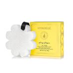Spongelle Boxed White Flower Honey Blossom 1pc (oils), Bijoux, Sacs & Beauté, Beauté | Cosmétiques & Maquillage, Verzenden