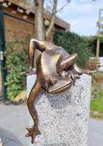 Beeldje - Clambering frog - Brons, Antiek en Kunst