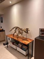 Dinosaurus - Gereconstrueerd skelet - Psittacosaurus