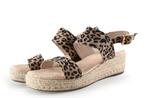 Dolcis Sandalen in maat 39 Overig | 5% korting, Kleding | Dames, Dolcis, Overige kleuren, Verzenden, Sandalen of Muiltjes