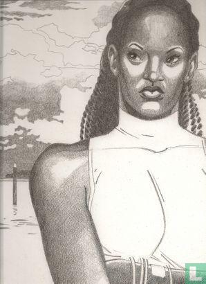 Dallas Barr - Anna van de 1000 dagen - 2000, Boeken, Stripverhalen, Zo goed als nieuw, Eén stripboek, Verzenden