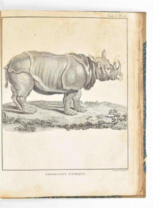 [Ethiopia]  J. Bruce - Cartes et figures du voyage en Nubie, Antiek en Kunst, Antiek | Boeken en Manuscripten