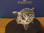 Swarovski - Beeldje - Pig middle - 010031 - Boxed - Kristal