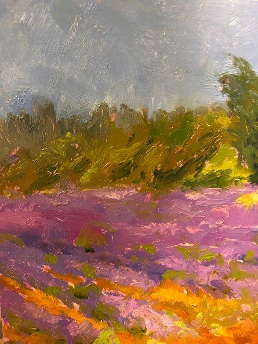 École française (XX) - Champs de Lavande en Provence, Antiek en Kunst, Kunst | Schilderijen | Klassiek