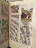 Matthaeus Platearius - Herbolaire Estense - 2008, Antiek en Kunst, Antiek | Boeken en Manuscripten